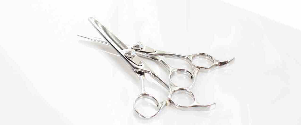 お支払い方法へのリンク