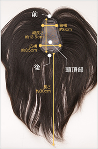 100R-MONOのサイズ図