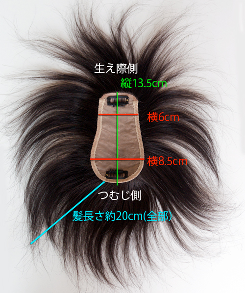 TP100Bのサイズ図